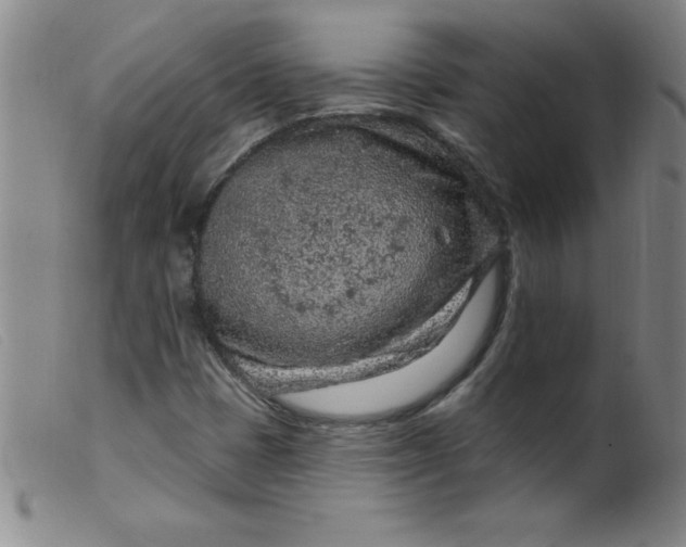 X0000099481401200805231844