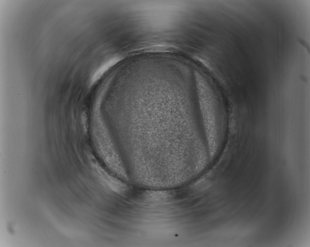 X0000099481402200805231844