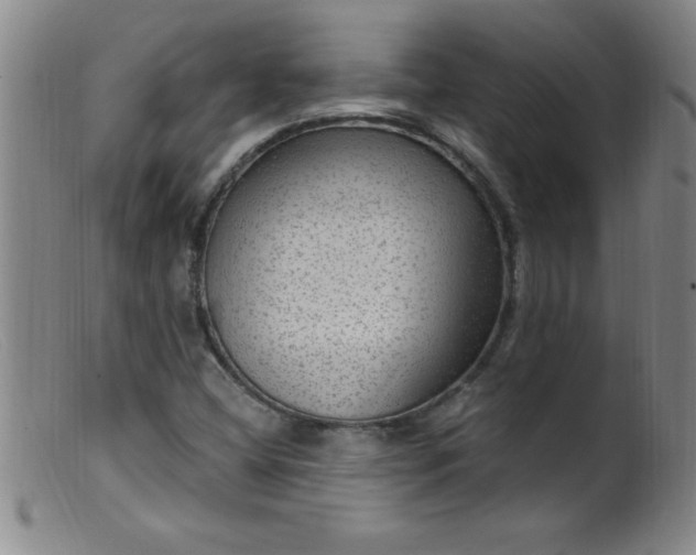 X0000099481404200805231844
