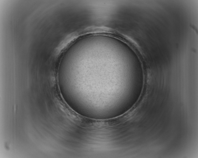 X0000099481407200805231844