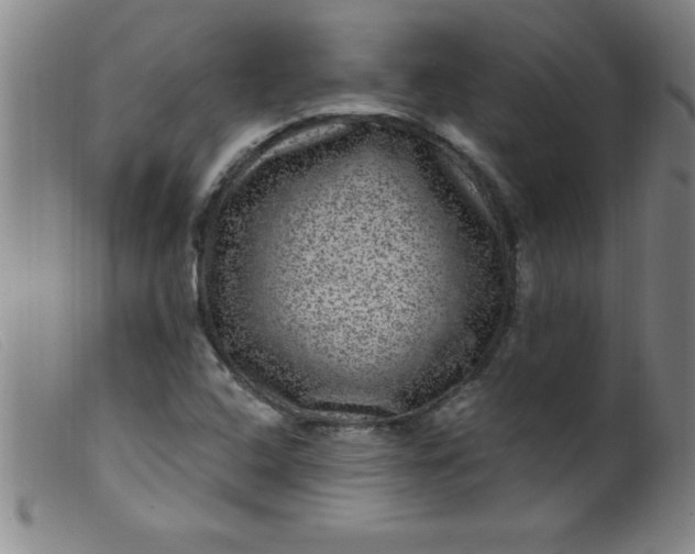 X0000099481408200805231844