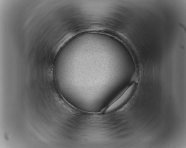 X0000099481409200805231844