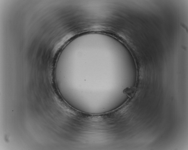 X0000099481410200805231844