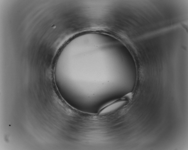 X0000099481412200805231844
