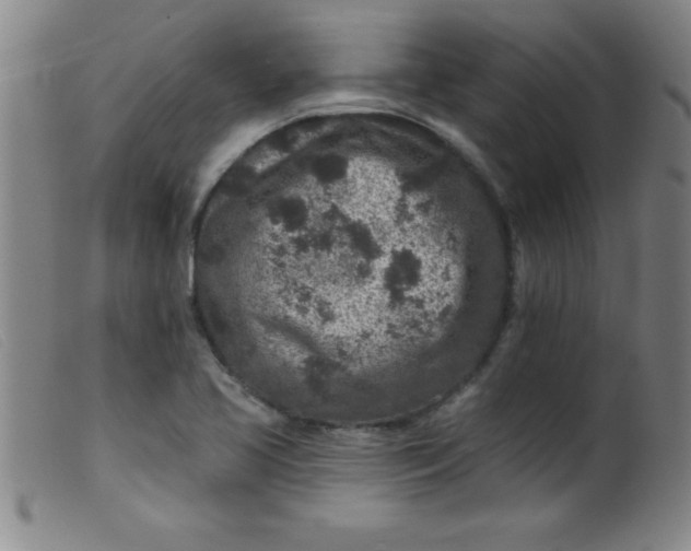 X0000099481413200805231844
