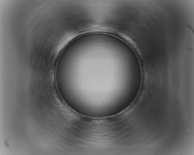 X0000099481415200805231844