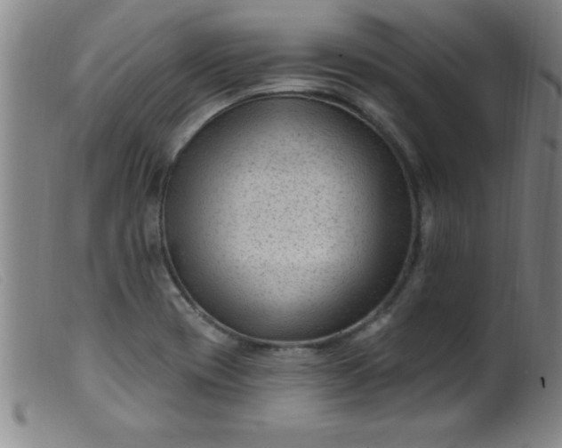 X0000099481417200805231844