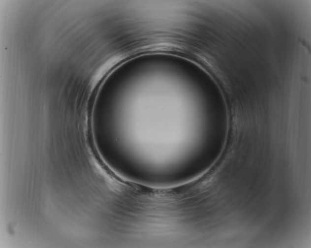 X0000099481418200805231844