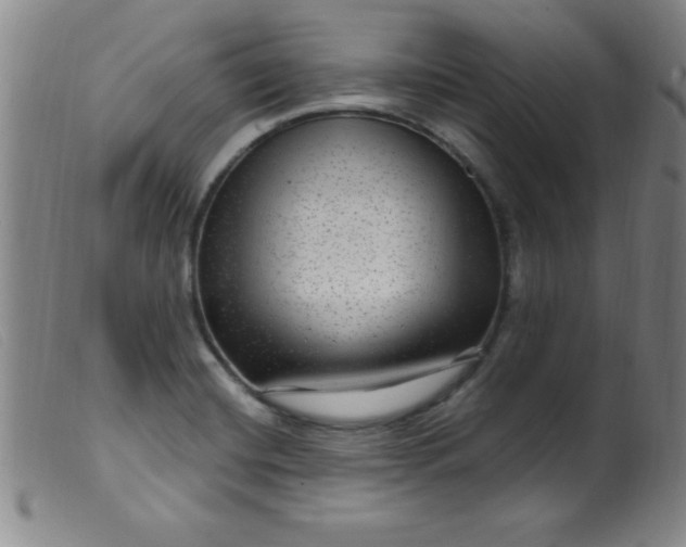 X0000099481420200805231844