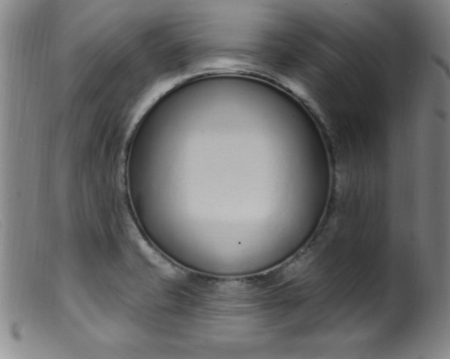 X0000099481421200805231844