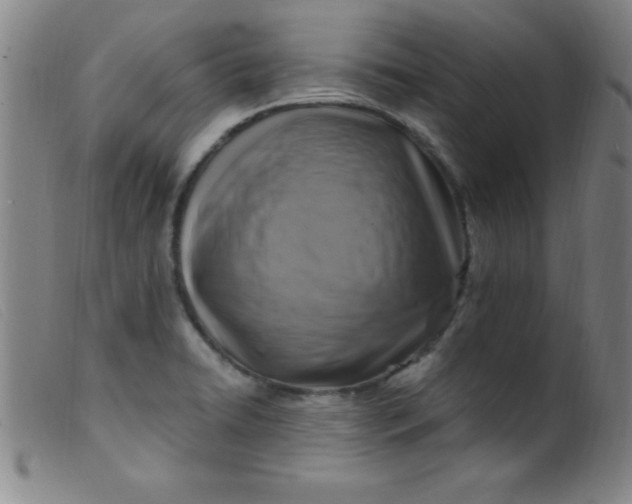 X0000099481422200805231844