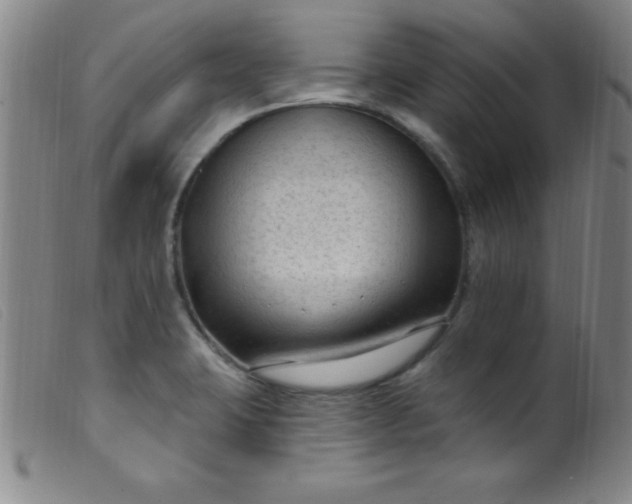 X0000099481423200805231844