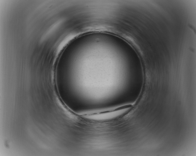 X0000099481424200805231844