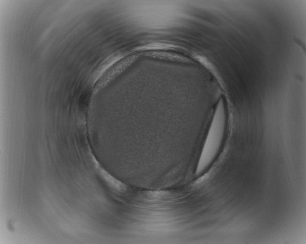 X0000099481425200805231844