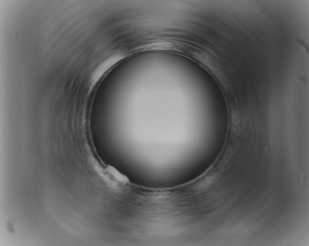 X0000099481426200805231844