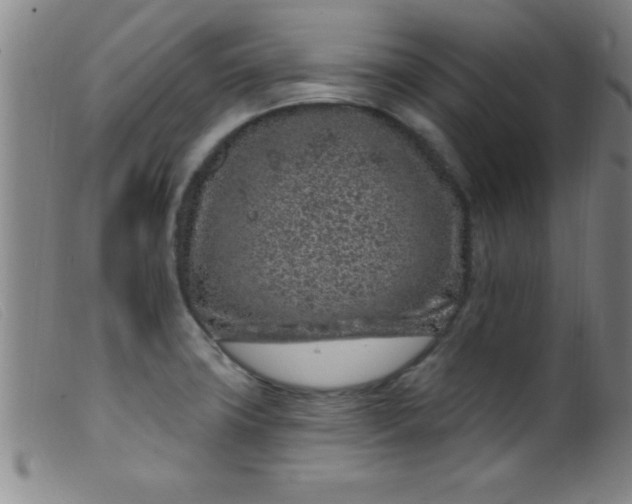 X0000099481427200805231844