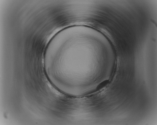 X0000099481428200805231844