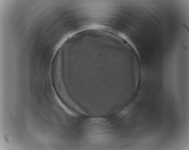 X0000099481429200805231844
