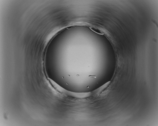 X0000099481430200805231844