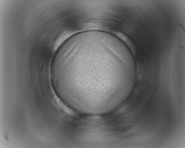 X0000099481431200805231844