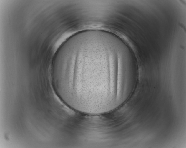 X0000099481432200805231844