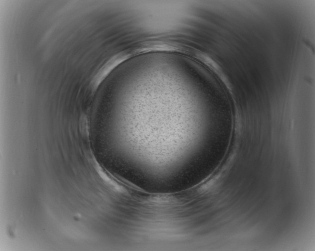 X0000099481433200805231844