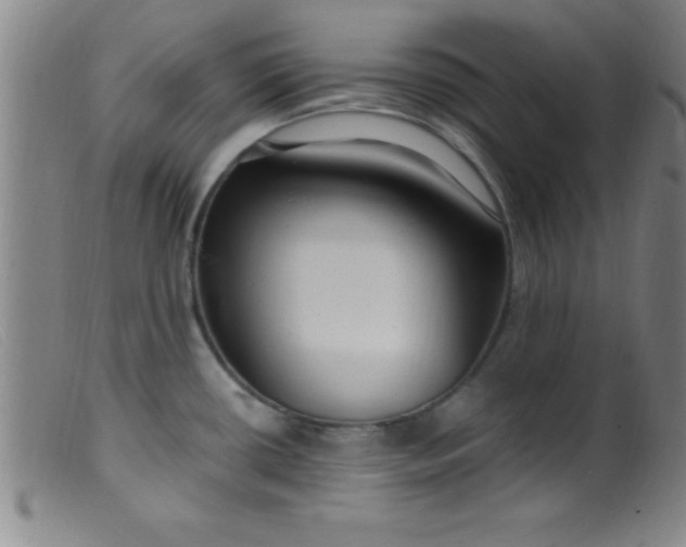 X0000099481434200805231844
