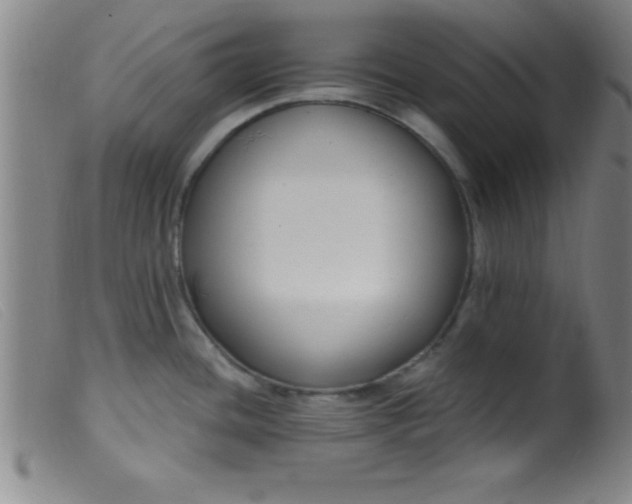 X0000099481436200805231844