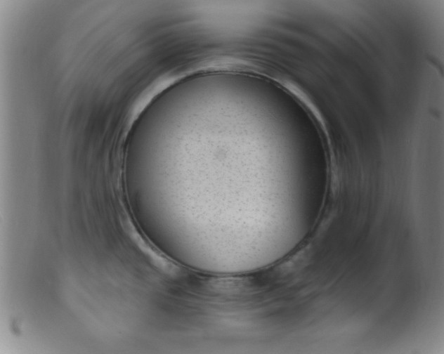 X0000099481437200805231844