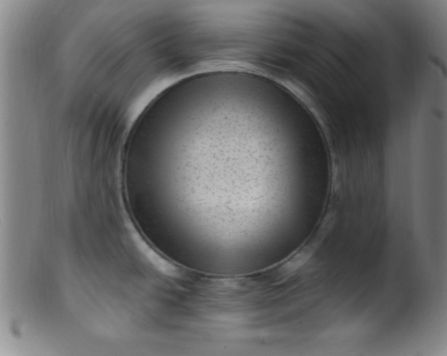 X0000099481438200805231844