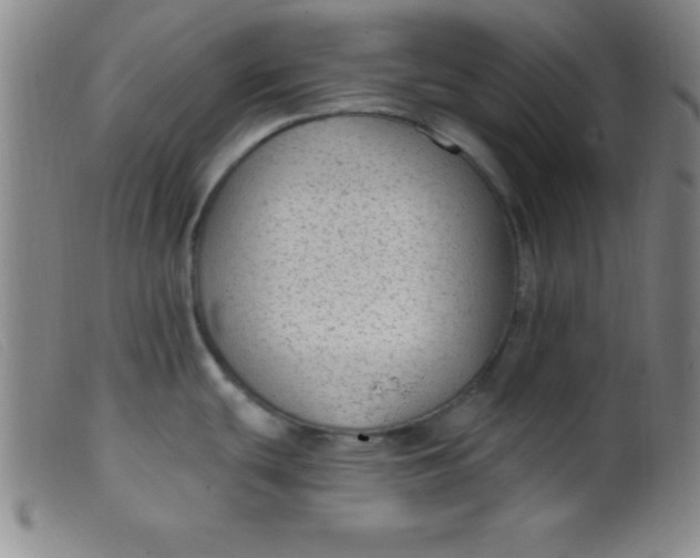 X0000099481439200805231844