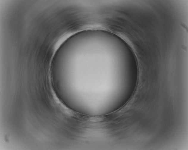 X0000099481440200805231844