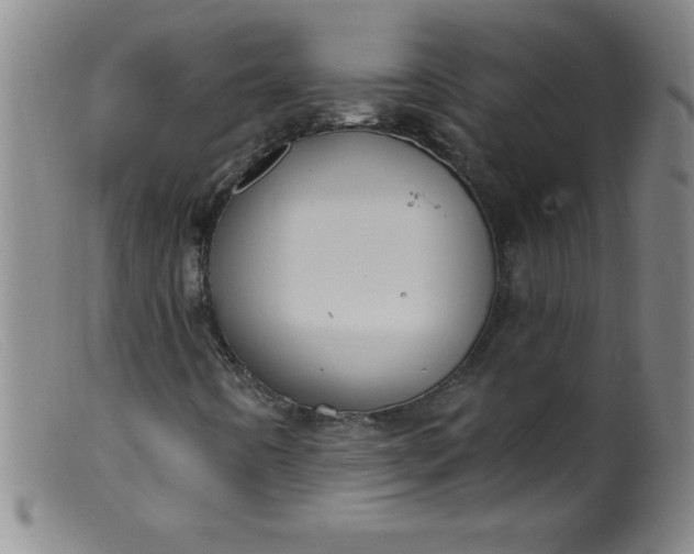 X0000099481442200805231843