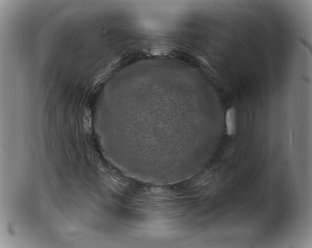 X0000099481443200805231843