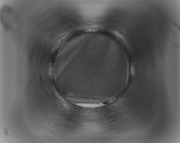 X0000099481444200805231843