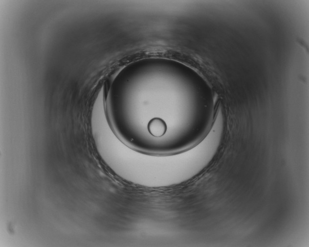 X0000099481445200805231843