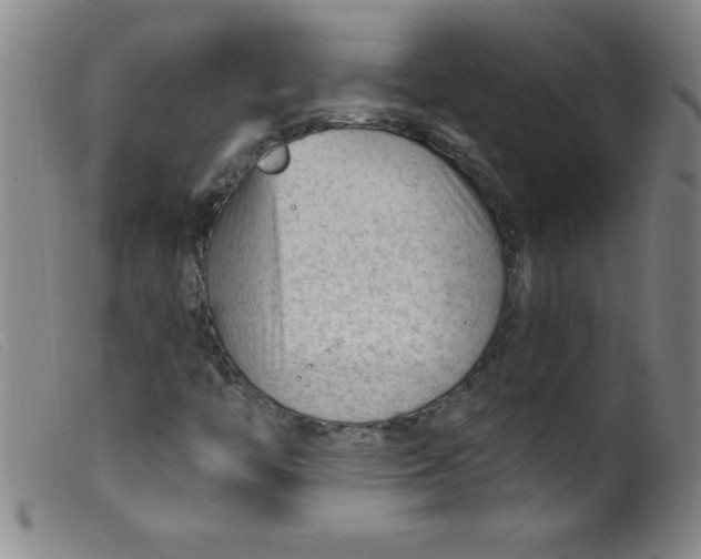 X0000099481446200805231843