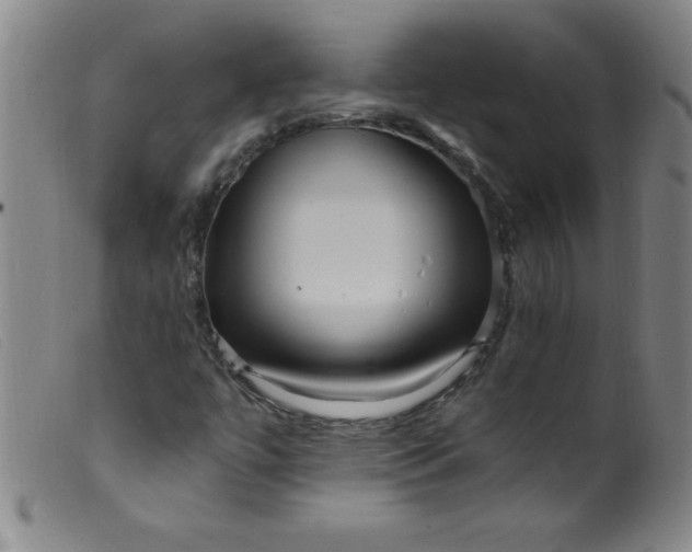 X0000099481447200805231843