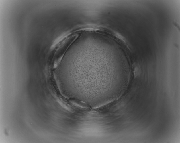 X0000099481448200805231843