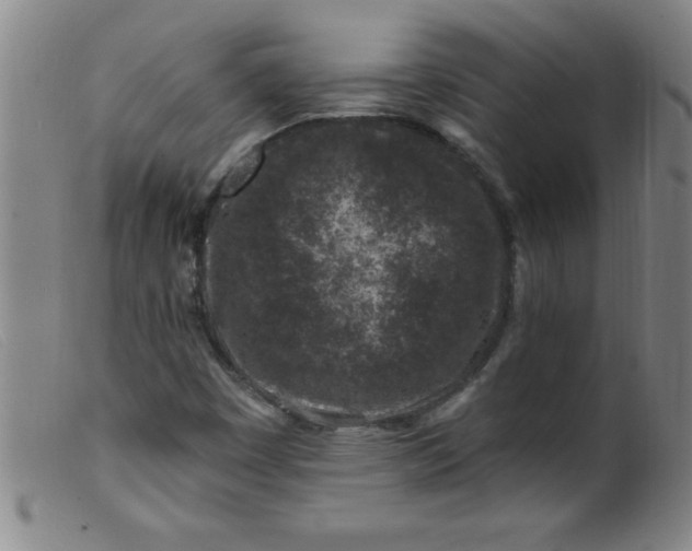 X0000099481449200805231843