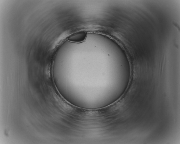 X0000099481451200805231843