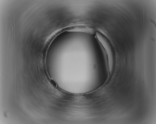 X0000099481452200805231843