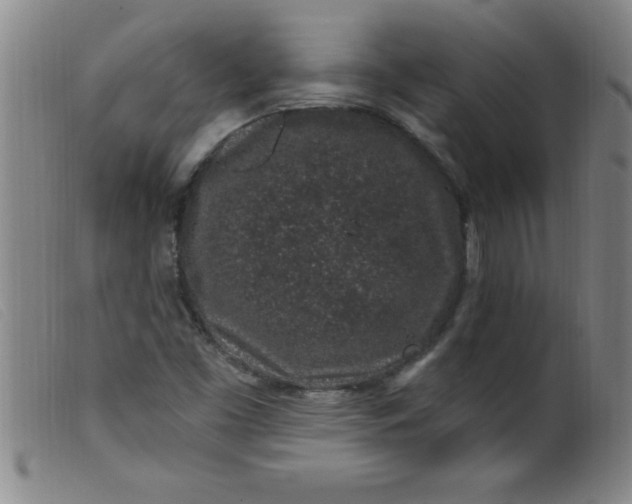 X0000099481453200805231843