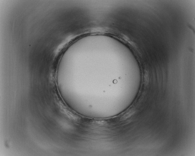 X0000099481454200805231843