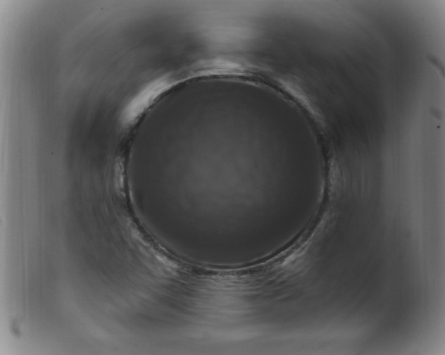 X0000099481455200805231843