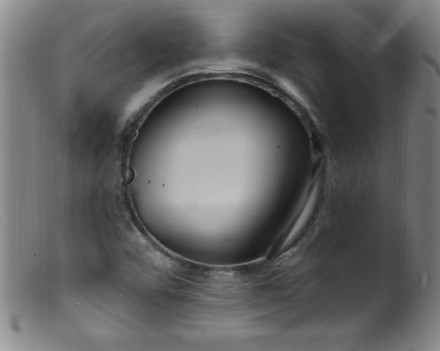 X0000099481456200805231843