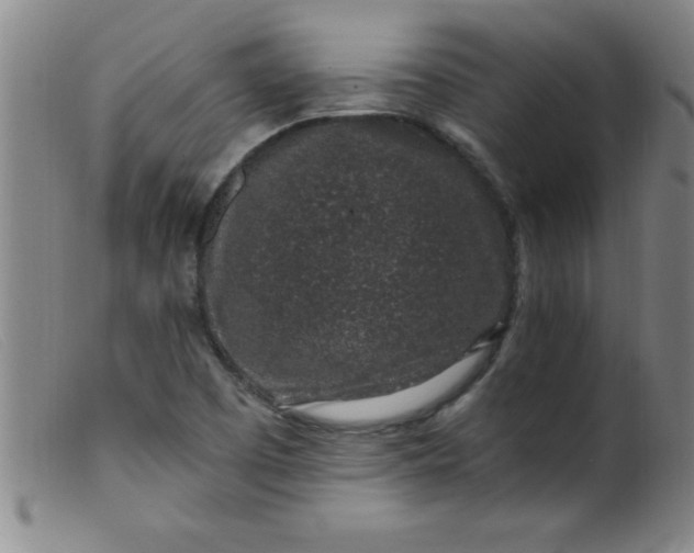 X0000099481457200805231843