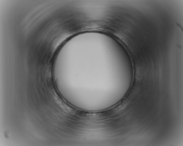 X0000099481458200805231843