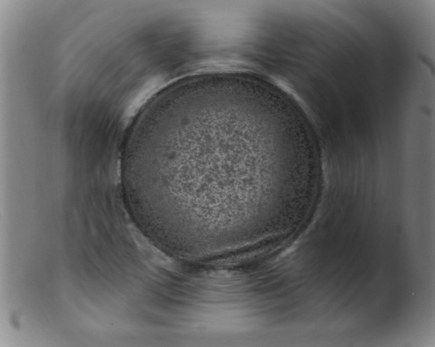 X0000099481459200805231843