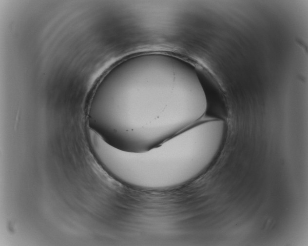 X0000099481460200805231843